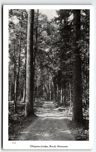 Postcard Chippewa Lodge Brevik Minnesota Path Through Woods MN UNP - Picture 1 of 2