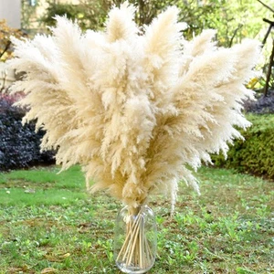40" 11 PCS Dried Pampas Grass Decor Tall,Large Natural Beige pompas Grass,Tal... - Picture 1 of 7