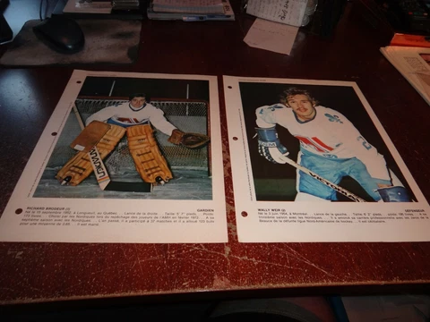 quebec nordiques hockey pictures photos wha nhl lot of 20 error white shirt Cover