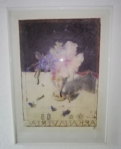 Horst Janssen Blumen Arkana Verlag signiert ab 1980 hinter Glas 50 x 70 cm - Bild 1 von 4