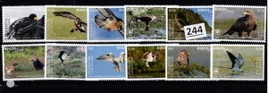 PENRHYN - MNH - NATUR - VÖGEL - 2018 - Bild 1 von 1