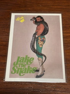 1990 Clásico WWF WWE #7 Jake "La Serpiente" Roberts - Imagen 1 de 1