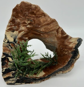 Sandstone Arch w/ Plastic Plant~Resin Sculpture~USED~Aquarium Decoration - Picture 1 of 5