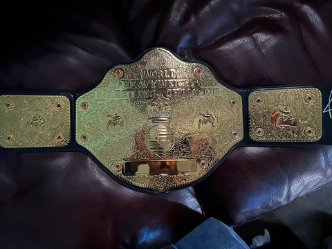 WCW Big Gold Autographed Rick Flair Belt!!! Cover