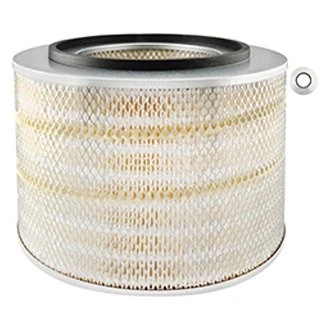 For Ford LTLA9000 1992-1997 Baldwin Filters PA2642 Air Filter Element Foto 1 de 1