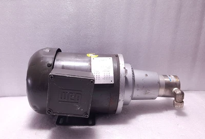 WEG ETB56C 0.25 HP 67006 01/06 Motor 2860RPM 3PH 50Hz Class F - Image 1 of 4