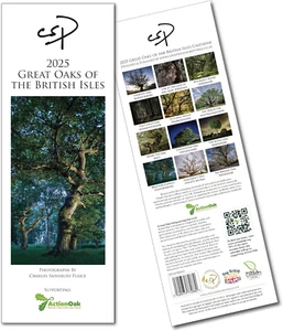 The Tree Calendar 2025. Great Oaks of the British Isles by Charles Sainsbury-Pla - Picture 1 of 9