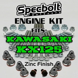 KX125 Engine Bolt Kit for Rebuild of Kawasaki KX 125 Specbolt OE ZINC Fasteners - Bild 1 von 8