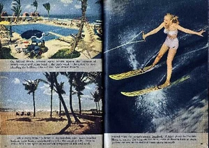 FLORIDA FUNLAND BILD 1949 FARBFOTOS MEERESBRANDUNG ZYPRESSE GÄRTEN MARINELAND - Bild 1 von 2