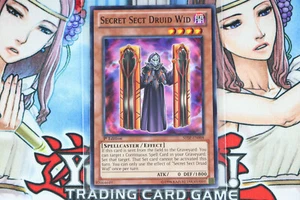 Yugioh Secret Sect Druid Wid SHSP-EN008 1st Edition Common - Picture 1 of 2