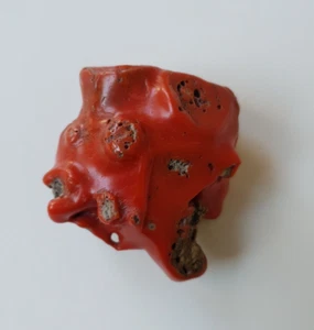 47'Gram Natural Italian Red coral,Antique coral rough Loose Polished Big Branch. - Picture 1 of 11