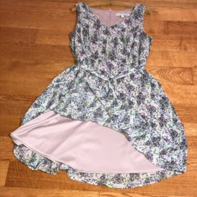 Madison Leigh Pink & Purple Floral A-Line Dress Size 12 - Image 1 of 4