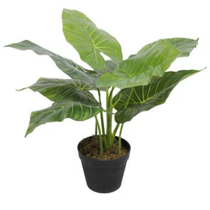 Artificial Potted Taro Plant / Elephant Ear 55cm - Picture 1 of 3