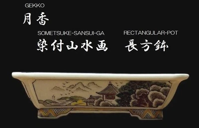 Japanese Bonsai pot SOMETSUKE GOSAI-E Rectangular shape Small size W16cm GEKKO - Image 1 of 4