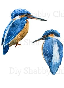 Waterslide Decal Transfer Soak & Slide Furniture Wall Decal DIY 13 2 Kingfishers - Picture 1 of 23