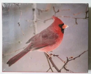 NEU Cardinal Vogel Cape Shore 550 Stück Puzzle 24" x 18" VERSIEGELT 1993 - Bild 1 von 4