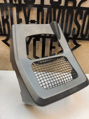 Alerón de barbilla genuino Harley-Davidson M8 Touring '17-25 (ver montaje) SIN PINTAR Foto 1 de 4