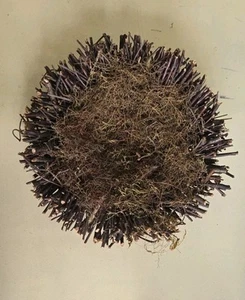 Grandin Road 10" Birch Twig Nest - Picture 1 of 4