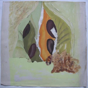 Dora Grabosch (1916-1994) Frucht mit Raupe Orig Gouache 1952 signiert  - Bild 1 von 4