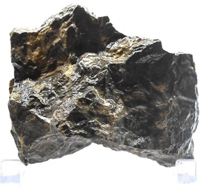 Piedra fósil de algas en racimo mineral natural con bandas ásperas de estromatolito 445 g Perú - Imagen 1 de 6