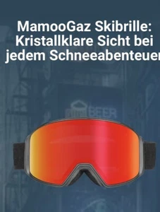 skibrille herren - Bild 1 von 1
