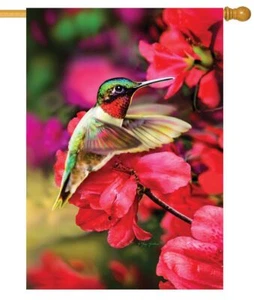 Floating Hummer House Flag - Imagen 1 de 1