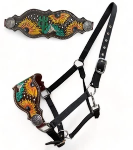 Bronc Halter for Horses, Decorated with cactus conchos with sunflower and cactus - Picture 1 of 4
