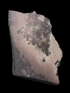 Copper, Chimney Rock, Boundbrook, NJ - Picture 1 of 5