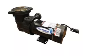 Pool Pump 1.5hp (dual port, 2 Speed) - Picture 1 of 1