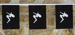 Bandera The Lady Nude Silhouette Bunting - 6m con 20 banderas - Imagen 1 de 3