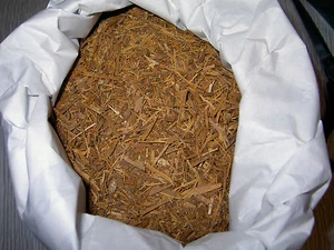 CATUABA - 80 Gramm - Bild 1 von 1