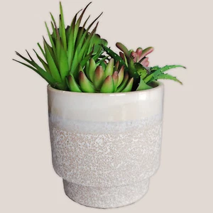 Sukkulente Kunstpflanze im Keramiktopf Southwest Design - Bild 1 von 5