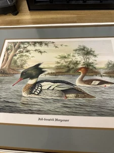 Pimpernel England Duck Design Placemats Boxed Cork Back 15.75" x 11.75" New - Picture 1 of 7