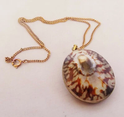 Vintage Real Shell Double Sided Brown Brass Pendant Necklace Nautical Ocean Sea - Image 1 of 4