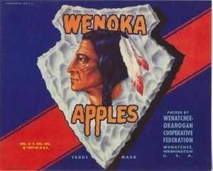Original WENOKA Half Box Apfelkiste Etikett Wenatchee Okanogan Wenatchee WA - Bild 1 von 1