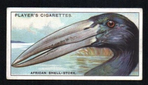 AFRICAN SHELL STORK 1929 JOHN PLAYER CIGARETTES CURIOUS BEAKS #47 EX NO CREASES - Picture 1 of 2