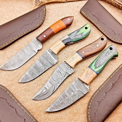 Juego de 4 cuchillos desolladores Damasco Blade mix | 8" | Madera dura, funda de cuero 58 Foto 1 de 4