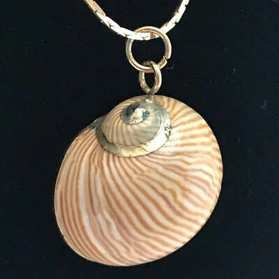 Collar Colgante Sea Shell Dorado Sumergido con Cadena Tono Dorado Delicado Foto 1 de 4