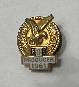 FOE Fraternal Order Of Eagles Liberty Truth Justice Equality Producer 1961 Pin 