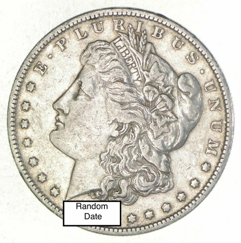 Bulk Lot VF-XF (1) 1878-1904 P/O/S Morgan Silver Dollar 90% Eagle Collection Cover
