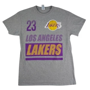 LA Lakers Lebron James T Shirt Mens Medium Delta Pro Weight Gray Purple #23 - Picture 1 of 7