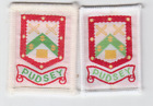 Boy Scout Badges Ext PUDSEY District light+darker green
