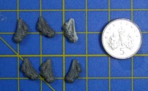Warhammer 40k Tyranids große Giftbeutel x 6 Spiele Workshop Zitadelle Bitz Bitz Bits - Bild 1 von 1
