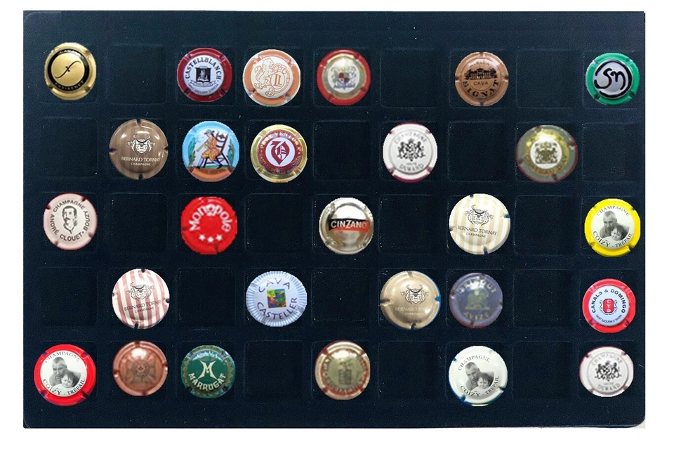 Leuchtturm 317701 Tablett L Für 45 Münzen Von 3 31 MM Ø Blau