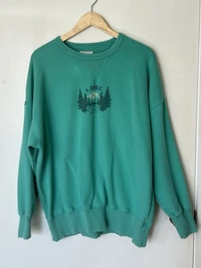 Maglione felpa American Eagle AE donna media oversize pile grafica - Foto 1 di 7