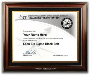 Lean Six Sigma Black Belt Trainingskurs Zertifikat / Diplom - Management - Bild 1 von 2