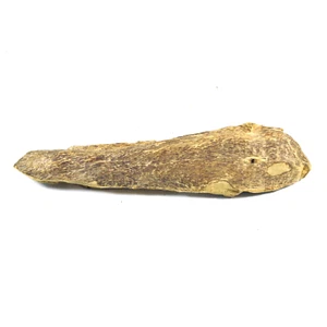 102gr Sumatera Indonesia Genuino Real Madera de Agar Aquilaria Incienso Oudh Decoración - Imagen 1 de 4