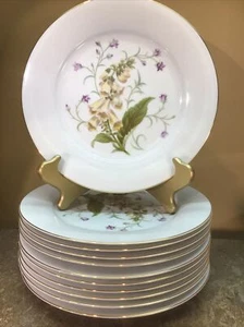 Noritake CANTERBURY 5226 Essteller 10,5" Durchmesser Neu Einwandfrei 11 Verfügbar - Bild 1 von 3