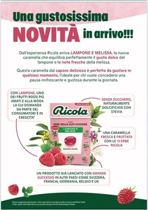 RICOLA LAMPONE E MELISSA SENZA ZUCCHERO X 20 PEZZI - Imagen 1 de 1