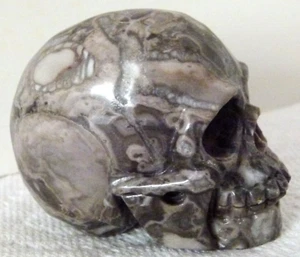 3 1/8" Orbicular Agate Carved Crystal Skull Realistic Crystal Healing - Picture 1 of 8